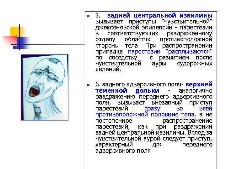 n n 5. задней центральной извилины вызывает приступы 