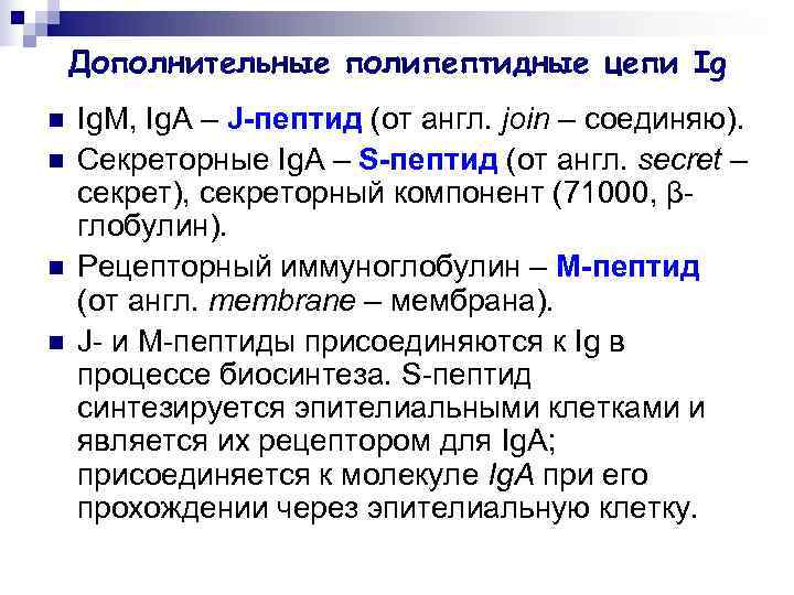   Дополнительные полипептидные цепи Ig n  Ig. M, Ig. A – J-пептид
