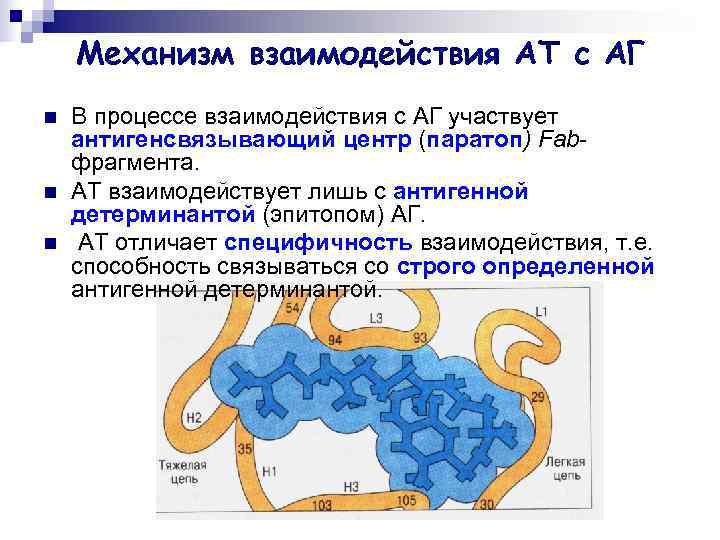 Механизм взаимодействия