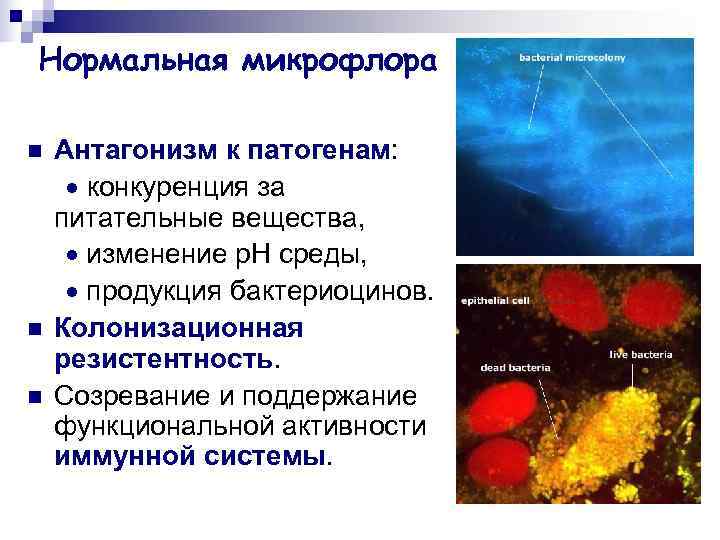 Микробного антагонизма по схеме