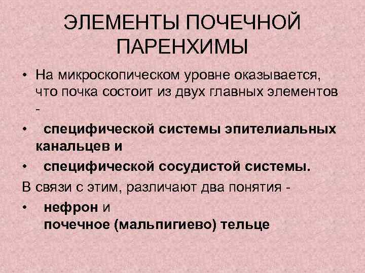  ЭЛЕМЕНТЫ ПОЧЕЧНОЙ   ПАРЕНХИМЫ • На микроскопическом уровне оказывается,  что почка