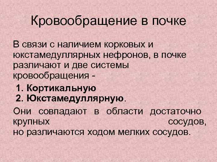   Кровообращение в почке В связи с наличием корковых и юкстамедуллярных нефронов, в