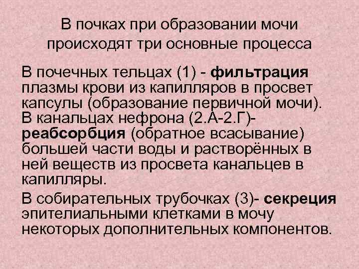  В почках при образовании мочи  происходят три основные процесса В почечных тельцах