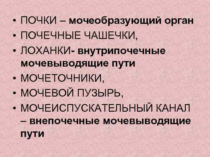  • ПОЧКИ – мочеобразующий орган • ПОЧЕЧНЫЕ ЧАШЕЧКИ,  • ЛОХАНКИ- внутрипочечные 