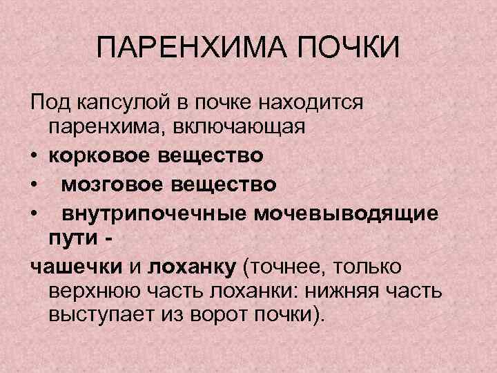  ПАРЕНХИМА ПОЧКИ Под капсулой в почке находится  паренхима, включающая • корковое вещество