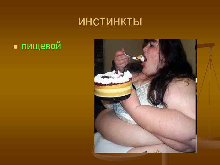    инстинкты n  пищевой 