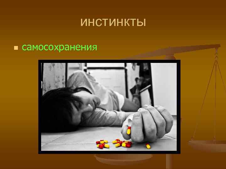    инстинкты n  самосохранения 