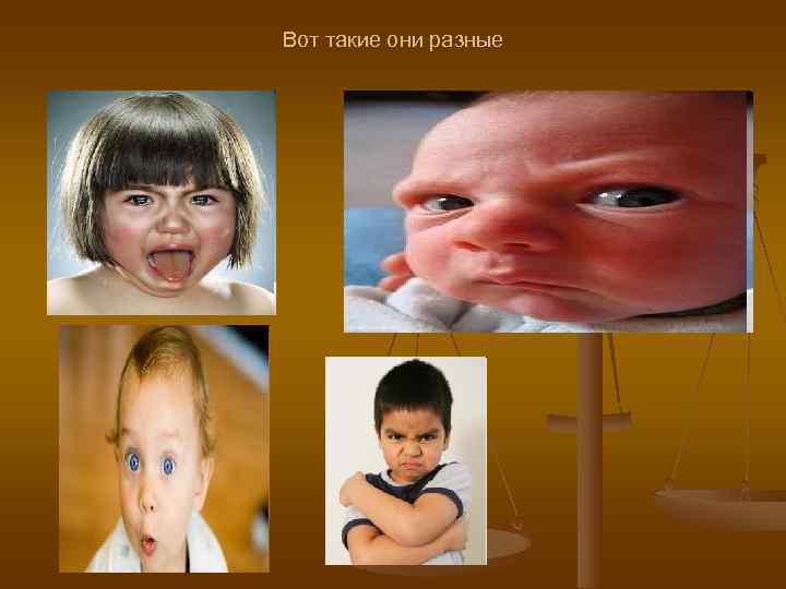 Вот такие они разные 