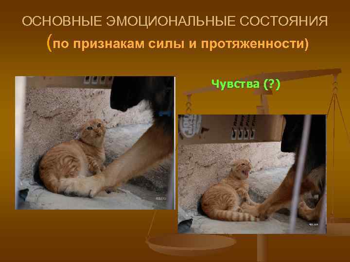 ОСНОВНЫЕ ЭМОЦИОНАЛЬНЫЕ СОСТОЯНИЯ  (по признакам силы и протяженности)     Чувства