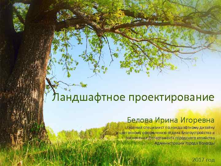 Ландшафтное проектирование Белова Ирина Игоревна главный специалист по ландшафтному дизайну и цветочному оформлению отдела