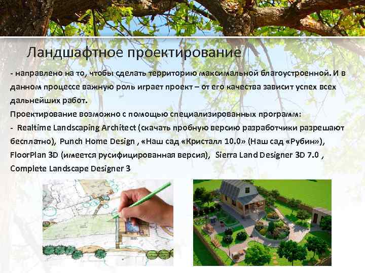 Ландшафтное проектирование - направлено на то, чтобы сделать территорию максимальной благоустроенной. И в данном