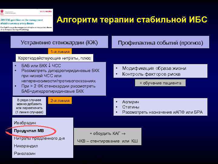       Алгоритм терапии стабильной ИБС  Устранение стенокардии (КЖ)