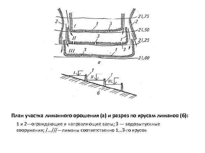 План участка лиманного орошения (а) и разрез по ярусам лиманов (б):  1 и