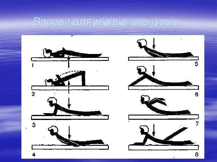 Вправи для м’зів екстензорів. 
