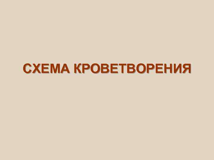 СХЕМА КРОВЕТВОРЕНИЯ 