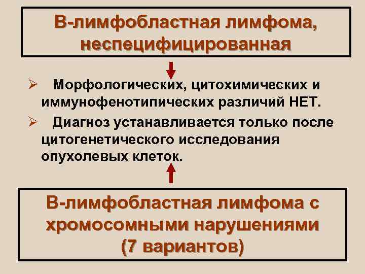   B-лимфобластная лимфома,  неспецифицированная Ø Морфологических, цитохимических и иммунофенотипических различий НЕТ. Ø