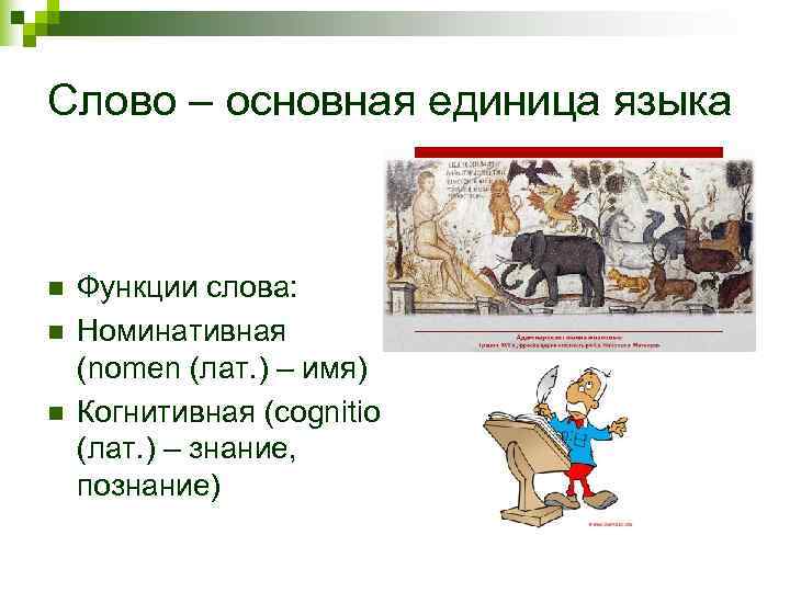 Слово – основная единица языка  n  Функции слова: n  Номинативная (nomen