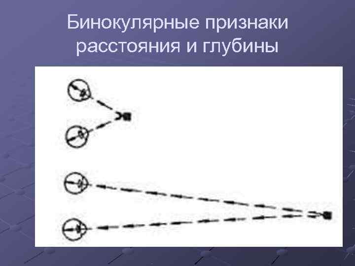 Бинокулярные признаки  расстояния и глубины 