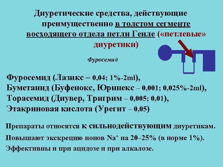 Диуретические средства, действующие преимущественно в толстом сегменте восходящего отдела петли Диуретические средства, действующие преимущественно в толстом сегменте восходящего отдела петли