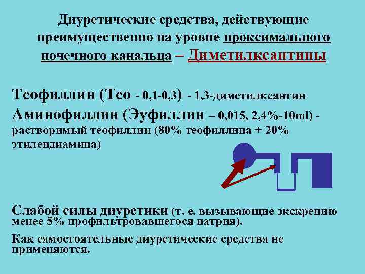Диуретические средства, действующие преимущественно на уровне проксимального почечного канальца – Диметилксантины Теофиллин Диуретические средства, действующие преимущественно на уровне проксимального почечного канальца – Диметилксантины Теофиллин