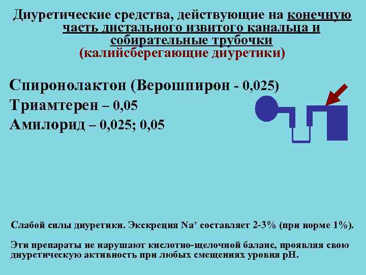 Диуретические средства, действующие на конечную часть дистального извитого канальца и собирательные Диуретические средства, действующие на конечную часть дистального извитого канальца и собирательные