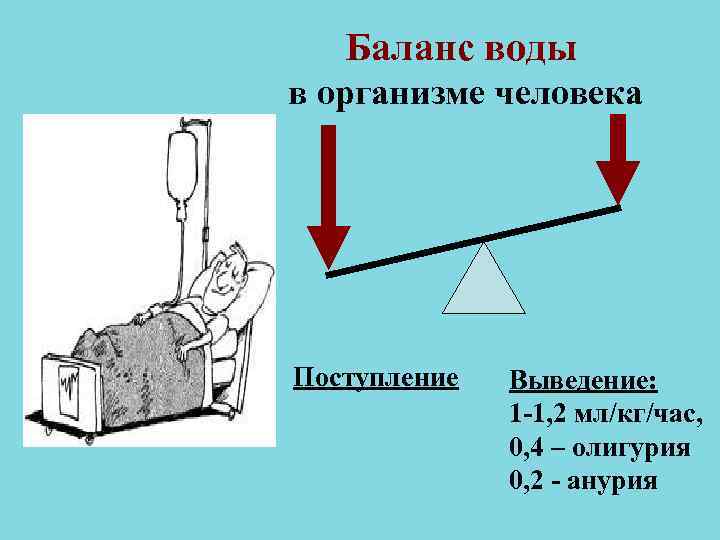 Баланс воды в организме человека Поступление Выведение: 1 Баланс воды в организме человека Поступление Выведение: 1