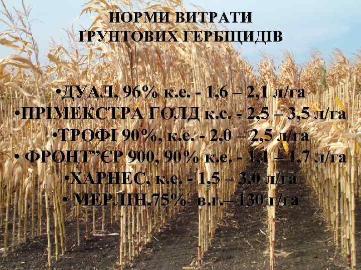    НОРМИ ВИТРАТИ  ҐРУНТОВИХ ГЕРБІЦИДІВ   • ДУАЛ, 96% к.