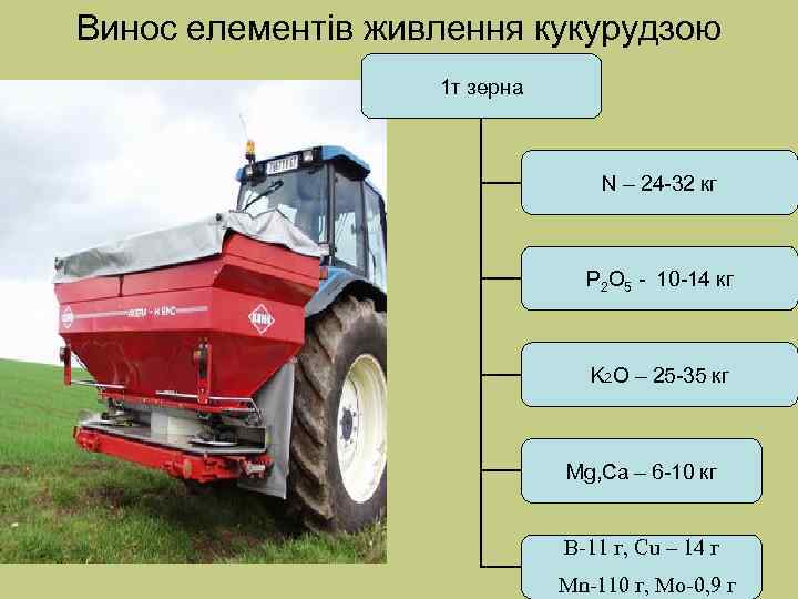 Винос елементів живлення кукурудзою    1 т зерна    