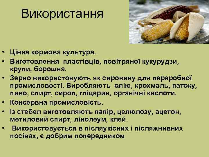   Використання  • Цінна кормова культура.  • Виготовлення пластівців, повітряної кукурудзи,