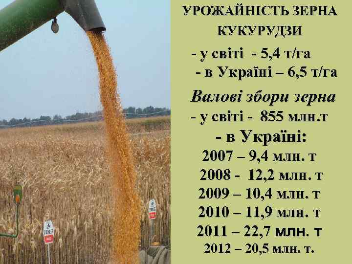 УРОЖАЙНІСТЬ ЗЕРНА  КУКУРУДЗИ - у світі - 5, 4 т/га - в Україні