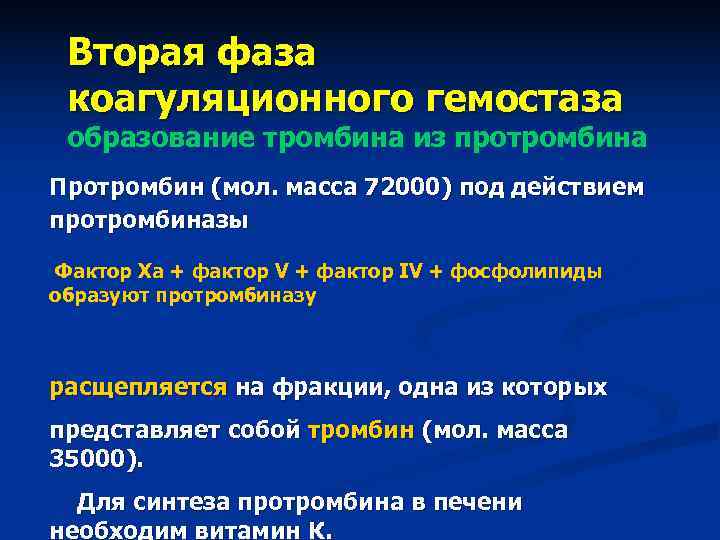  Вторая фаза коагуляционного гемостаза образование тромбина из протромбина Протромбин (мол. масса 72000) под