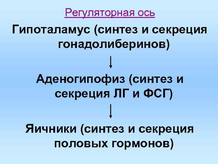 Регуляторная ось Гипоталамус (синтез и секреция гонадолиберинов) Аденогипофиз (синтез и секреция ЛГ и ФСГ)