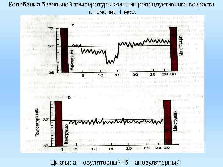 Колебания базальной температуры женщин репродуктивного возраста в течение 1 мес. Циклы: а – овуляторный;