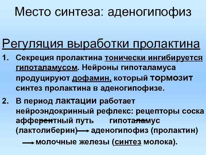 Место синтеза: аденогипофиз Регуляция выработки пролактина 1. Секреция пролактина тонически ингибируется гипоталамусом. Нейроны гипоталамуса