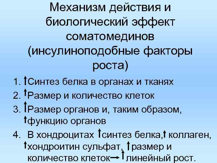 Механизм действия и биологический эффект соматомединов (инсулиноподобные факторы роста) 1. Синтез белка в органах