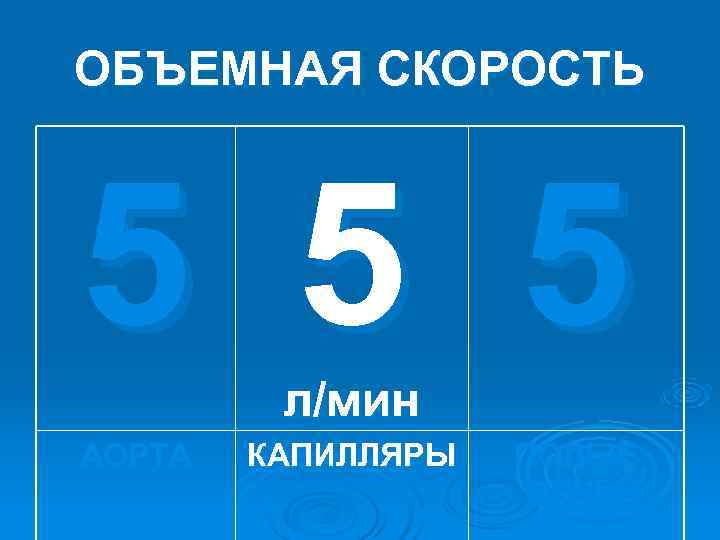 ОБЪЕМНАЯ СКОРОСТЬ 5 5 5 л/мин АОРТА КАПИЛЛЯРЫ ПОЛЫЕ ОБЪЕМНАЯ СКОРОСТЬ 5 5 5 л/мин АОРТА КАПИЛЛЯРЫ ПОЛЫЕ