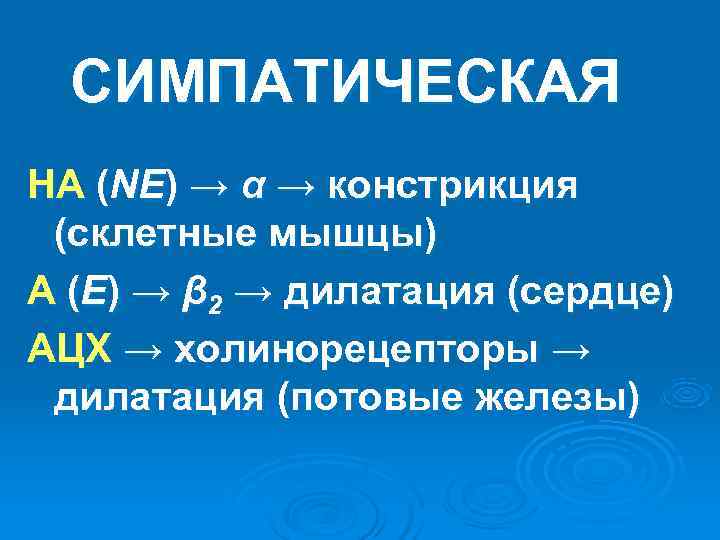 СИМПАТИЧЕСКАЯ НА (NE) → α → констрикция (склетные мышцы) А (E) → β СИМПАТИЧЕСКАЯ НА (NE) → α → констрикция (склетные мышцы) А (E) → β