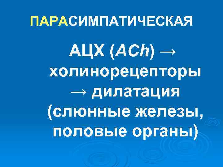 ПАРАСИМПАТИЧЕСКАЯ АЦХ (ACh) → холинорецепторы → дилатация (слюнные железы, половые органы) ПАРАСИМПАТИЧЕСКАЯ АЦХ (ACh) → холинорецепторы → дилатация (слюнные железы, половые органы)