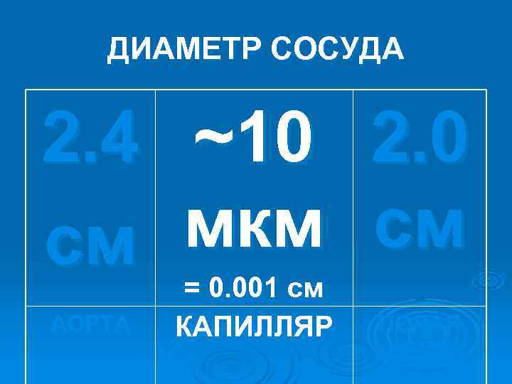 ДИАМЕТР СОСУДА 2. 4 ~10 2. 0 см мкм ДИАМЕТР СОСУДА 2. 4 ~10 2. 0 см мкм