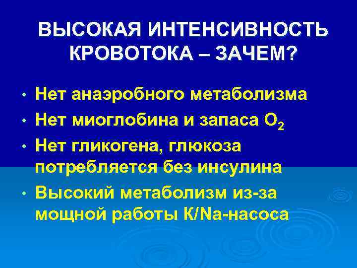 ВЫСОКАЯ ИНТЕНСИВНОСТЬ КРОВОТОКА – ЗАЧЕМ? • Нет анаэробного метаболизма ВЫСОКАЯ ИНТЕНСИВНОСТЬ КРОВОТОКА – ЗАЧЕМ? • Нет анаэробного метаболизма