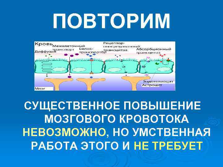 ПОВТОРИМ СУЩЕСТВЕННОЕ ПОВЫШЕНИЕ МОЗГОВОГО КРОВОТОКА НЕВОЗМОЖНО, НО УМСТВЕННАЯ РАБОТА ЭТОГО ПОВТОРИМ СУЩЕСТВЕННОЕ ПОВЫШЕНИЕ МОЗГОВОГО КРОВОТОКА НЕВОЗМОЖНО, НО УМСТВЕННАЯ РАБОТА ЭТОГО