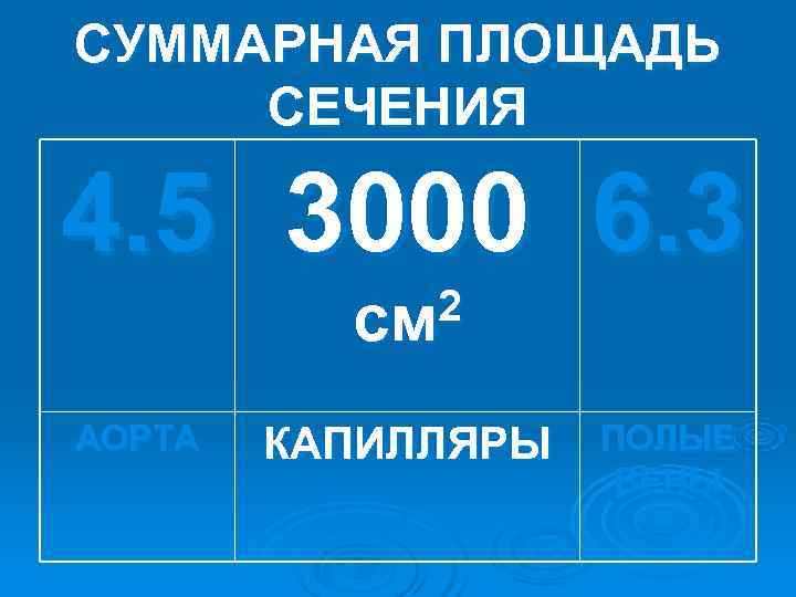 СУММАРНАЯ ПЛОЩАДЬ СЕЧЕНИЯ 4. 5 3000 6. 3 см 2 АОРТА КАПИЛЛЯРЫ СУММАРНАЯ ПЛОЩАДЬ СЕЧЕНИЯ 4. 5 3000 6. 3 см 2 АОРТА КАПИЛЛЯРЫ
