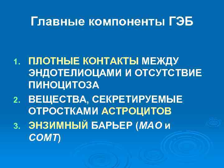 Главные компоненты ГЭБ 1. ПЛОТНЫЕ КОНТАКТЫ МЕЖДУ ЭНДОТЕЛИОЦАМИ И ОТСУТСТВИЕ Главные компоненты ГЭБ 1. ПЛОТНЫЕ КОНТАКТЫ МЕЖДУ ЭНДОТЕЛИОЦАМИ И ОТСУТСТВИЕ