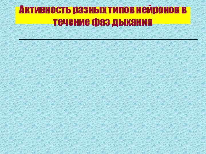 Активность разных типов нейронов в  течение фаз дыхания 