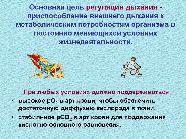   Основная цель регуляции дыхания - приспособление внешнего дыхания к метаболическим потребностям организма