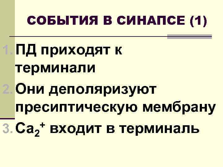 СОБЫТИЯ В СИНАПСЕ (1) 1. ПД приходят к терминали 2. Они деполяризуют пресиптическую мембрану