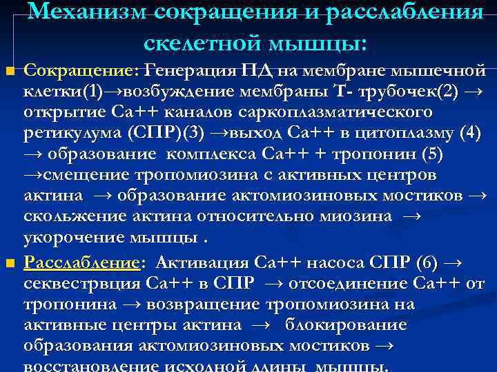 Механизм сокращения и расслабления скелетной мышцы: n n Сокращение: Генерация ПД на мембране мышечной