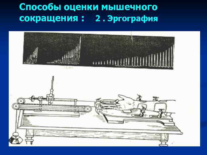 Способы оценки мышечного сокращения : 2. Эргография 