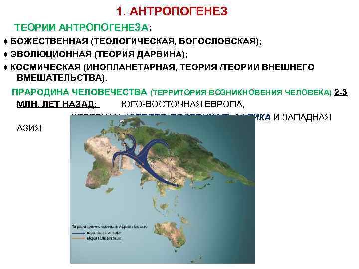 Презентация антропогенез қазақша