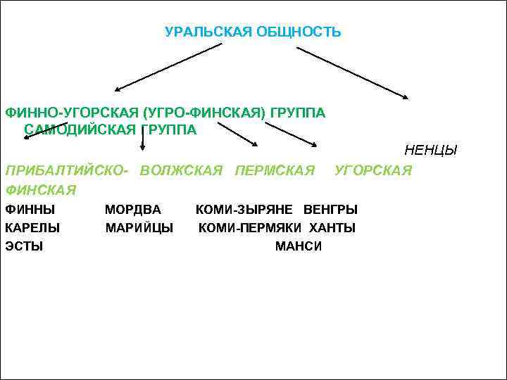        УРАЛЬСКАЯ ОБЩНОСТЬ    ФИННО-УГОРСКАЯ (УГРО-ФИНСКАЯ)